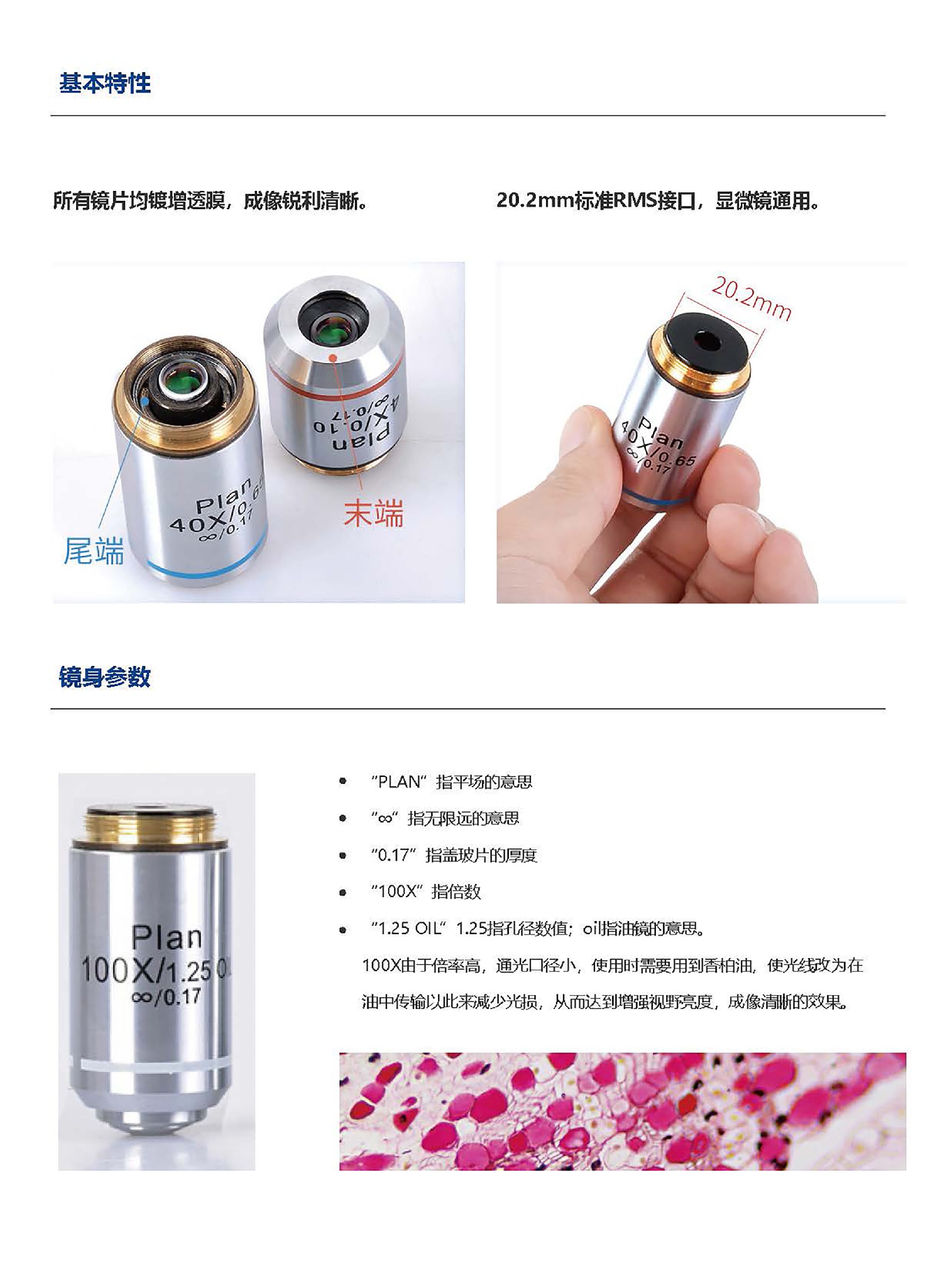 C- 物镜_页面_3.jpg