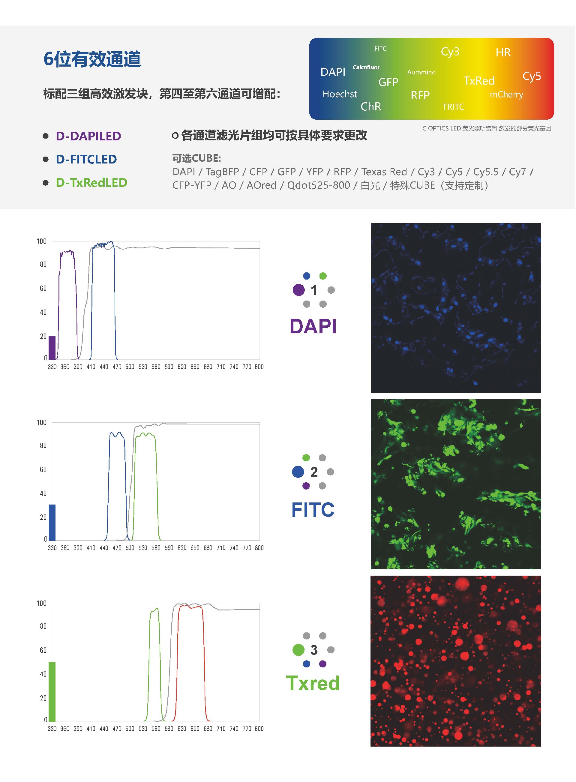 C-LEDRFA6 正置6位荧光模块_页面_3.jpg